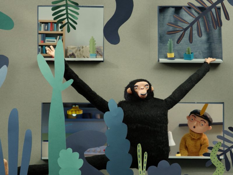 A SELVA DE BETÃO – Marie Urbánková, República Checa, ani, 2019, 8’